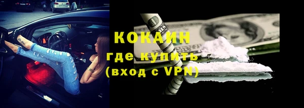 индика Алексеевка
