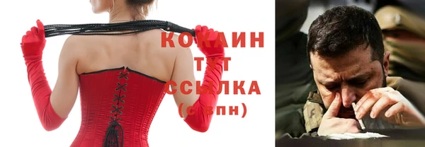 индика Алексеевка