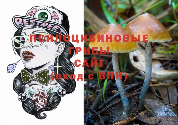 индика Алексеевка
